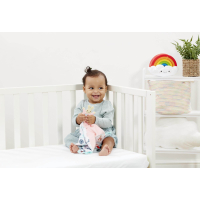 Pierre Lapin Flopsy Doudou d'éveil avec anneau de dentition